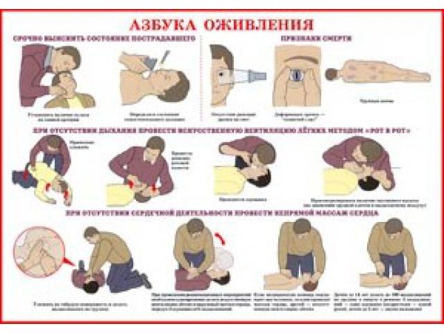Азбука оживления