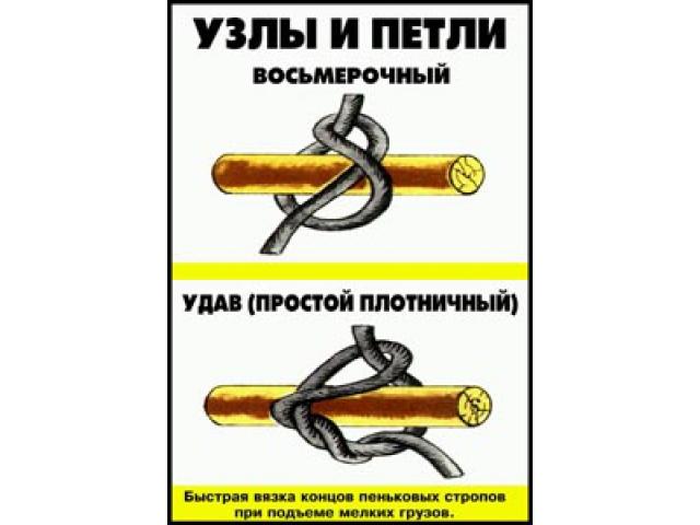  ������������ ���� ������� ����������