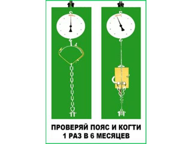 Проверяйте пояс и когти раз в мес