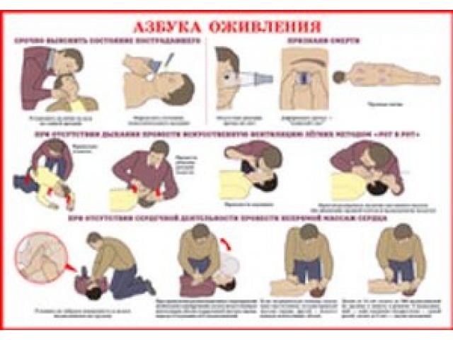 Азбука оживления
