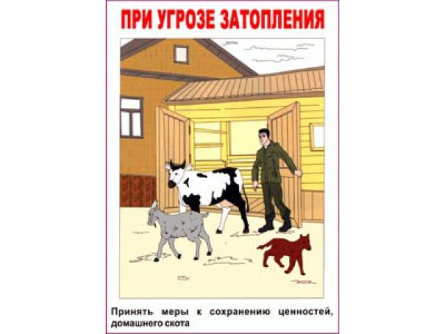 Принять меры к сохранению скота