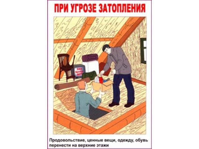 Продовольствие ценные вещи перенести